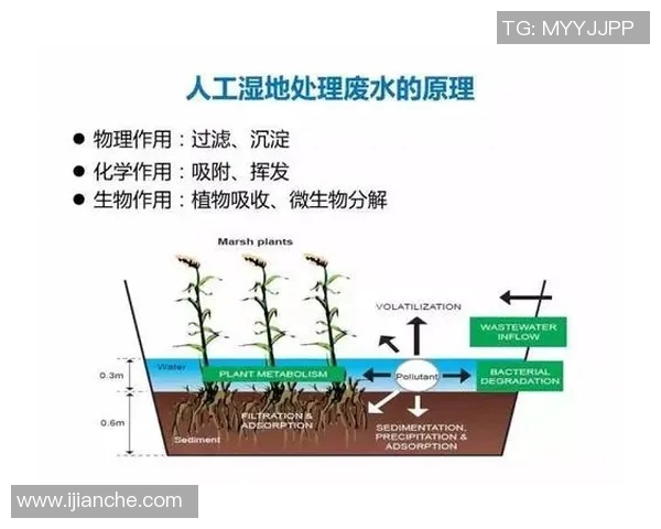 掌握足球转身技巧提升球场表现的全面指南与训练方法
